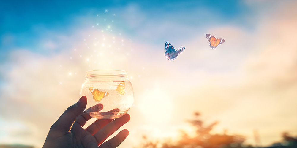 採用情報メイン画像